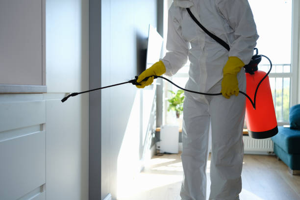 Best Mold Removal Company Near Me  in Lukachukai, AZ