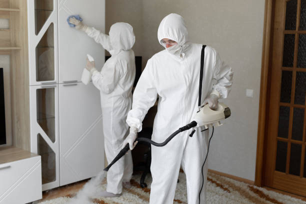 Best Professional Mold Removal  in Lukachukai, AZ