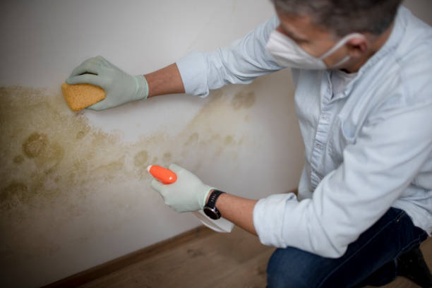 Best Crawl Space Mold Removal  in Lukachukai, AZ