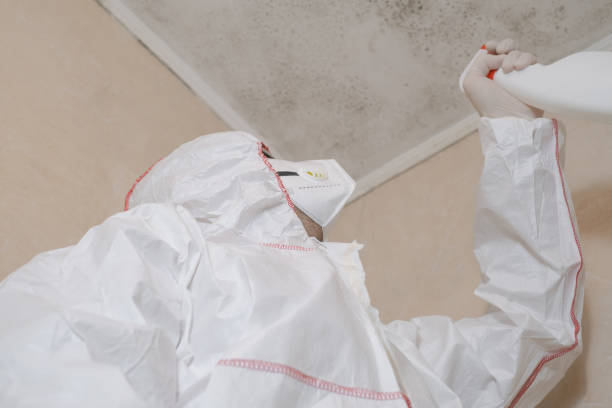 Best Attic Mold Removal  in Lukachukai, AZ