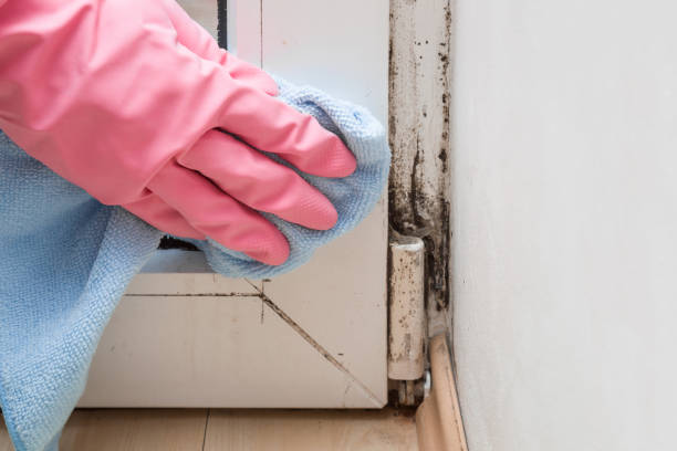 Best Crawl Space Mold Removal  in Lukachukai, AZ