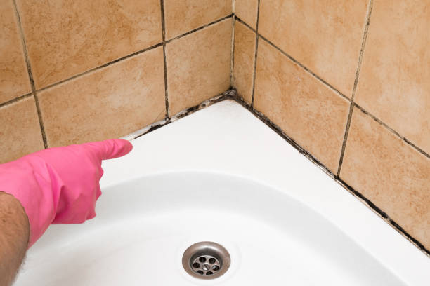 Best Mold Testing  in Lukachukai, AZ